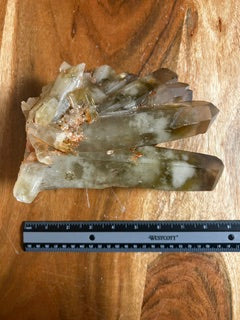 Large Smoky Quartz Fan – Vitality, Stability, & Empowered Grounding