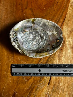 Large Abalone Shell – Soothing, Calm, & Balance