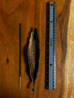 Bronze Leaf Incense Holder