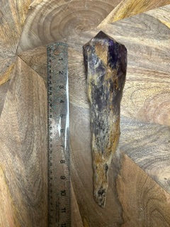 Large Raw Amethyst Dragon Tooth – Grounding, Healing, & Inner Power