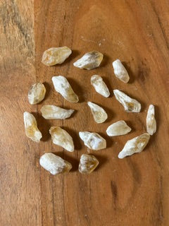 17 Small Raw Citrine Points (Bulk) – Ancient Wisdom, Calm & Rooted Connection