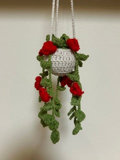 Crochet Hanging Plant - Red Flowers
