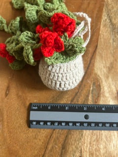 Crochet Hanging Plant - Red Flowers