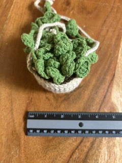Crochet Hanging Plant - Medium Green Leaves