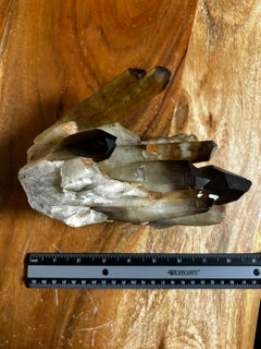 Medium Smoky Quartz Fan – Vitality, Stability, & Empowered Grounding