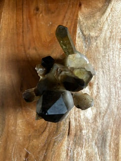 Medium Smoky Quartz Fan – Vitality, Stability, & Empowered Grounding