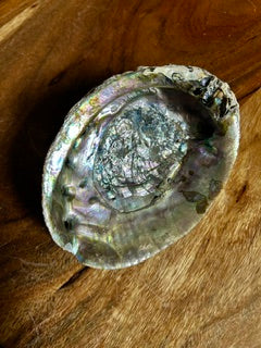 Large Abalone Shell – Soothing, Calm, & Balance