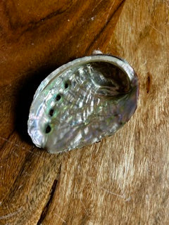Small Abalone Shell – Soothing, Calm, & Balance