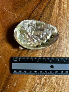 Small Abalone Shell – Soothing, Calm, & Balance