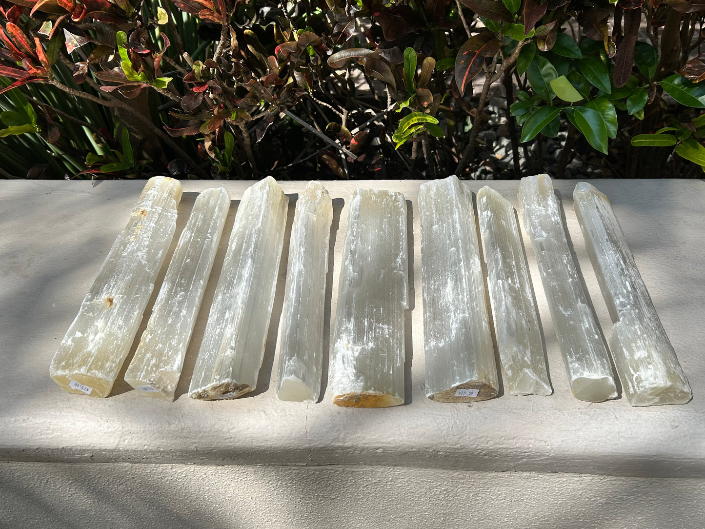 Large Raw Selenite Wands – Cleansing + Charging Tools